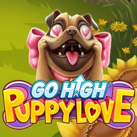 Play the Go High Puppy Love slot by RubyPlay on Betninja Casino